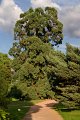 0057Arboretum Vallee aux loups